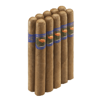 IBIS Nicaragua Robusto Bundle - 10 pack