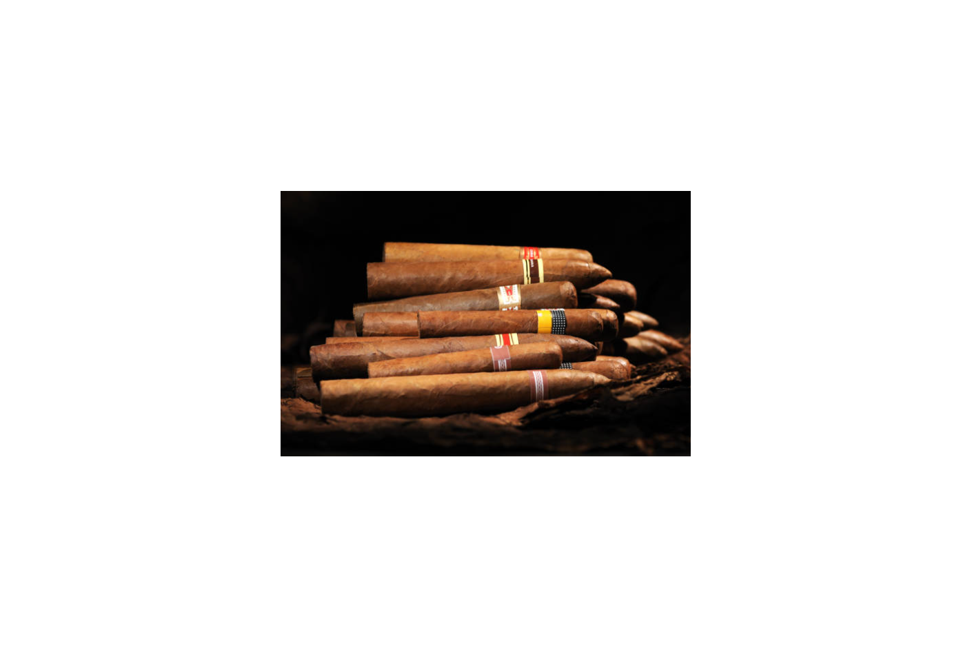 Nyhetsbrev: Premiumcigarrer till Sveriges bästa priser – hos Cigarrlivet.se